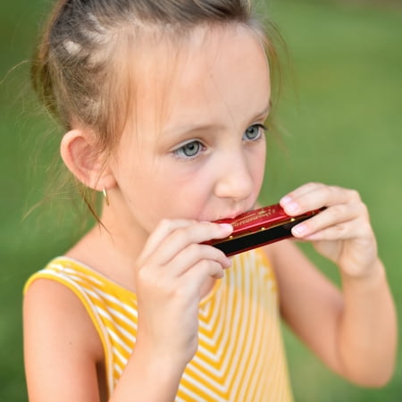 Toymendous Toy Harmonica - Colors May Vary, Children Ages 3+