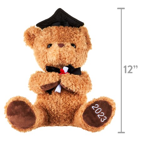 Way To Celebrate 12" Teddy Bear - Graduation 2023 Stuffed Animal Plush Toy