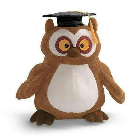 "Simon" the 10.5in Summertime Simon Owl by Gund