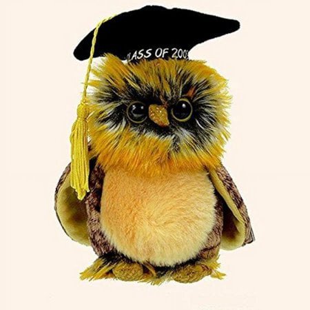 Ty Beanie Baby: Smartest the Owl - Graduation 2003 | Stuffed Animal | MWMT