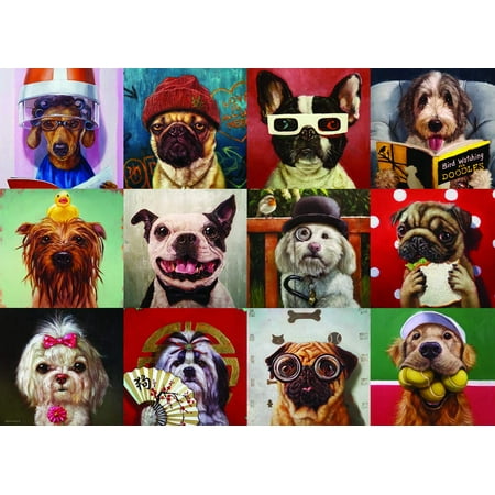 Funny Dogs by Lucia Heffernan (Other)