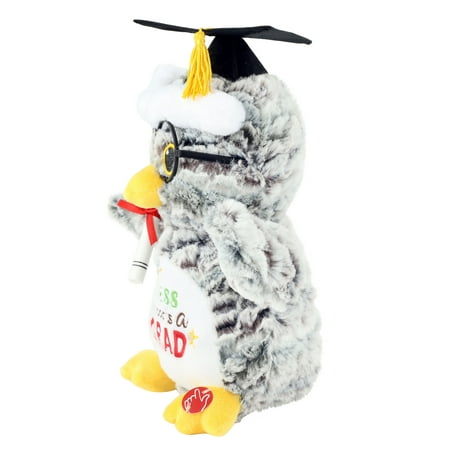 Way To Celebrate Graduation Animated 11.5-Inch Plush Friend, Owl