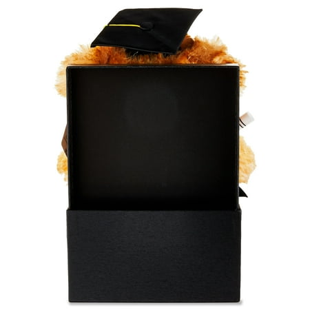 Way To Celebrate Graduation Plush Bear Toy Gift Set