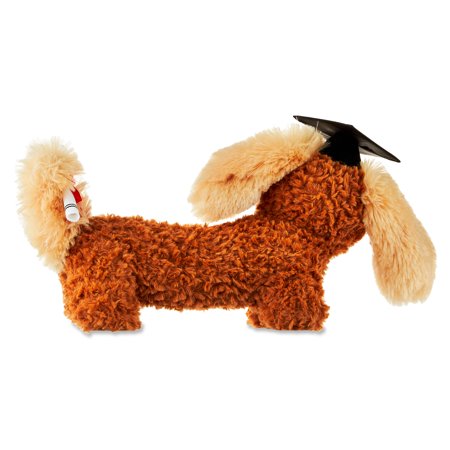 Way To Celebrate Graduation Animated 13-Inch Plush Flapping Ear Dog, Brown