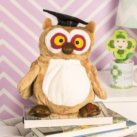 "Simon" the 10.5in Summertime Simon Owl by Gund