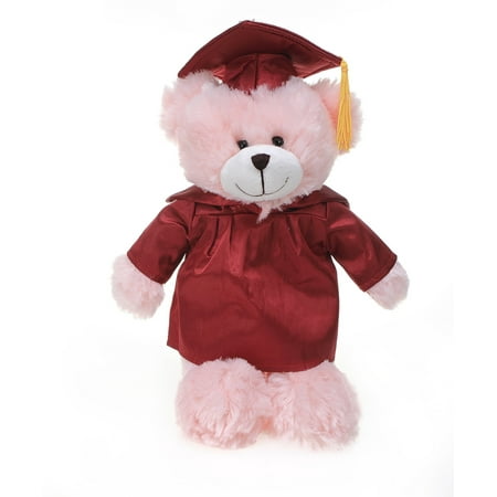 Made by Aliens Personalized Pink Bear Stuffed Animal Plush Toy – Perfect Gift for Graduation Name or Your School Logo on Gown, Best for Any Grad School Kids 12 Inches